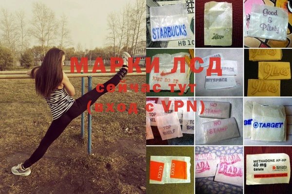 мяу мяу мука Беломорск