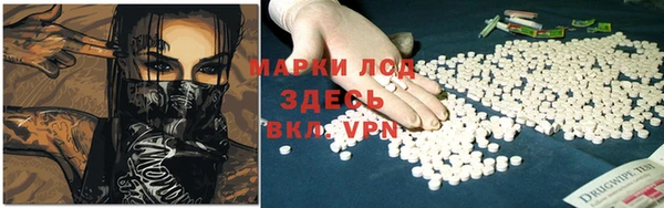 мяу мяу мука Беломорск