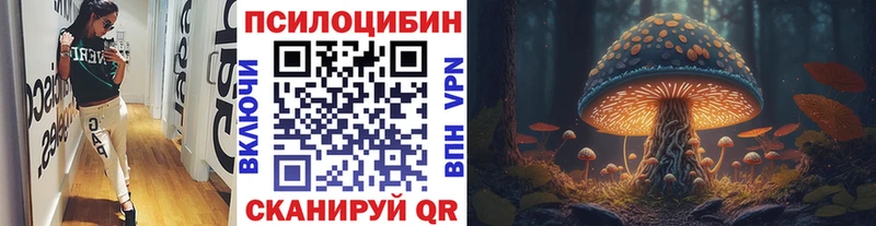 кракен сайт  хочу   Нижний Тагил  Псилоцибиновые грибы Cubensis 